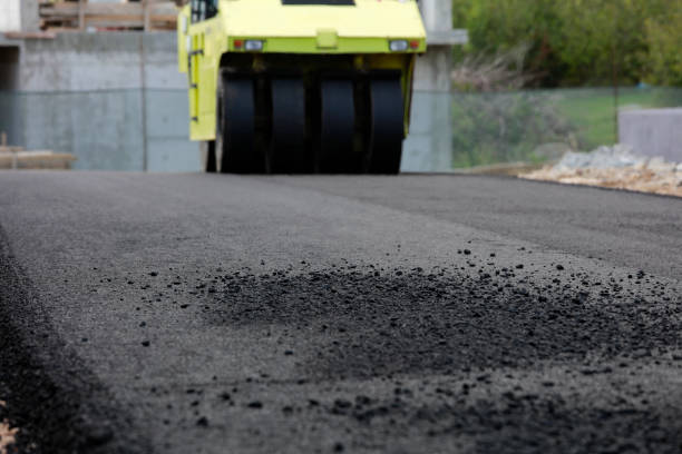 Best Interlocking Driveway Pavers  in Mount Plymouth, FL