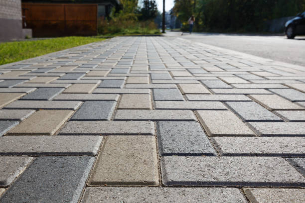 Best Driveway Paving Near Me  in Mount Plymouth, FL