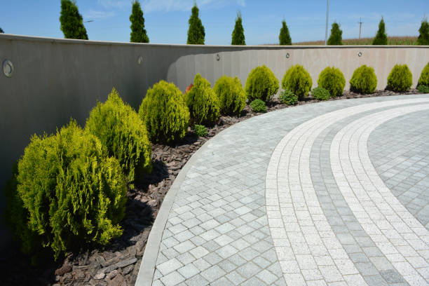 Best Cobblestone Driveway Pavers  in Mount Plymouth, FL
