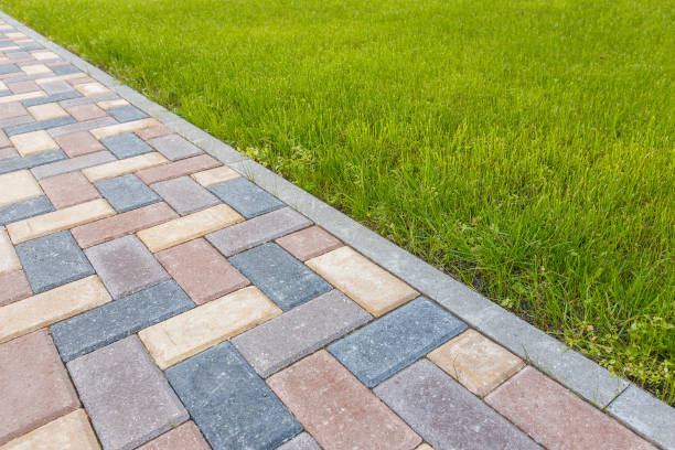 Best Local Driveway Pavers  in Mount Plymouth, FL